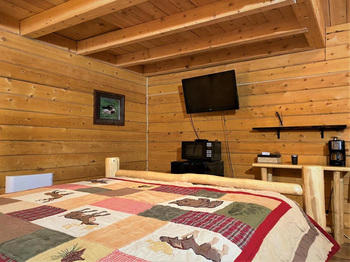 Alaska Creekside Cabins In Seward Buitenkant foto